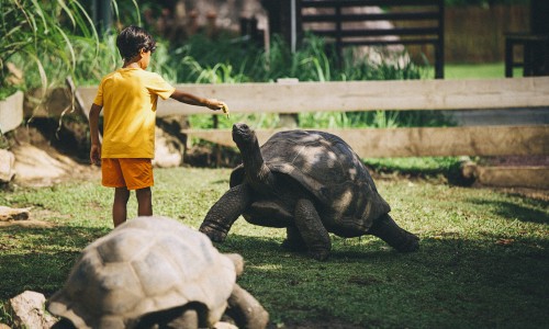Raffles Seychelles